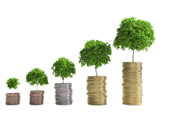 Stacks of coins arranged in a bar graph representing financial growth and investment